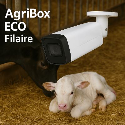 Caméra fixe AgriBox ECO FIXE pour box de vêlage