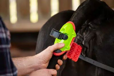 Capteur de détection de vêlages